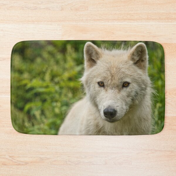 Artikelvorschau, Arctic Wolf entworfen und verkauft von WolvesOnly.