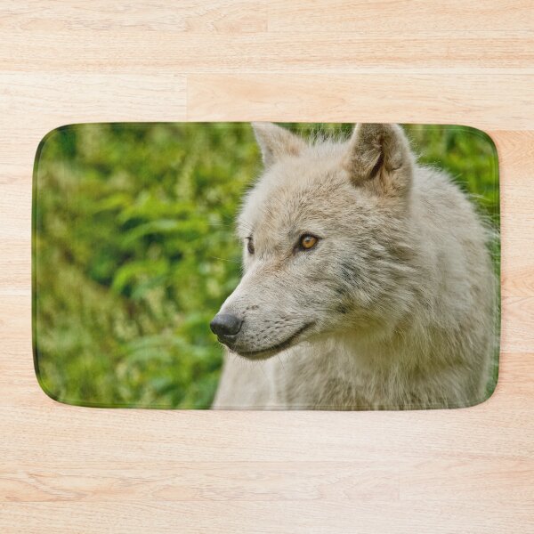 Artikelvorschau, Arctic Wolf entworfen und verkauft von WolvesOnly.