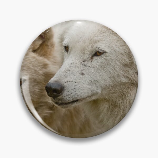 Item preview, Arctic Wolves designed and sold by WolvesOnly.