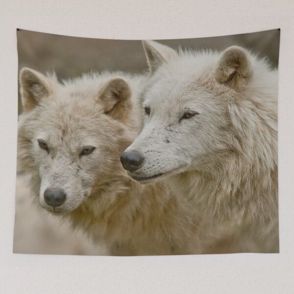 Item preview, Arctic Wolves designed and sold by WolvesOnly.