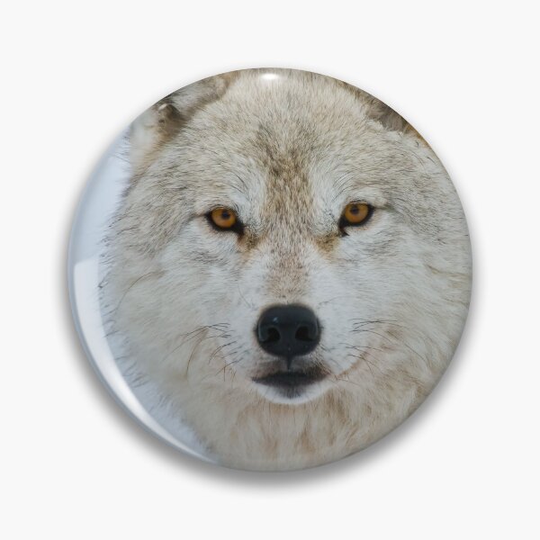 Item preview, Arctic Wolf designed and sold by WolvesOnly.