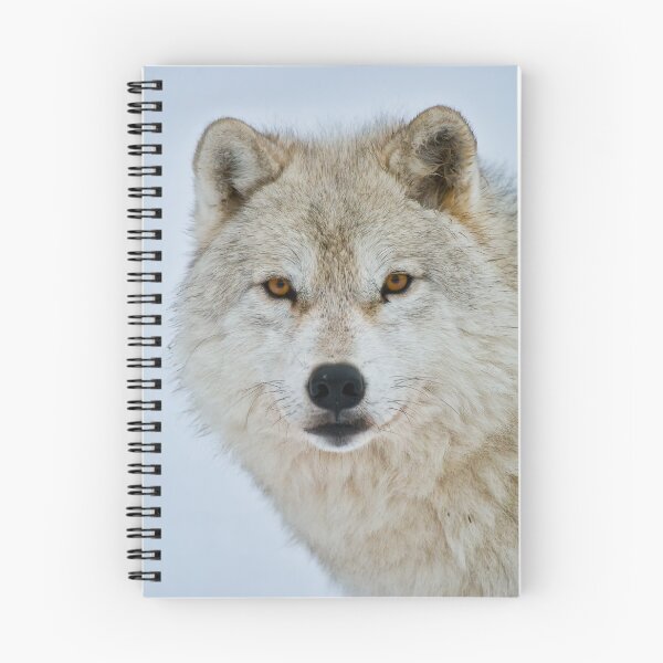 Item preview, Arctic Wolf designed and sold by WolvesOnly.