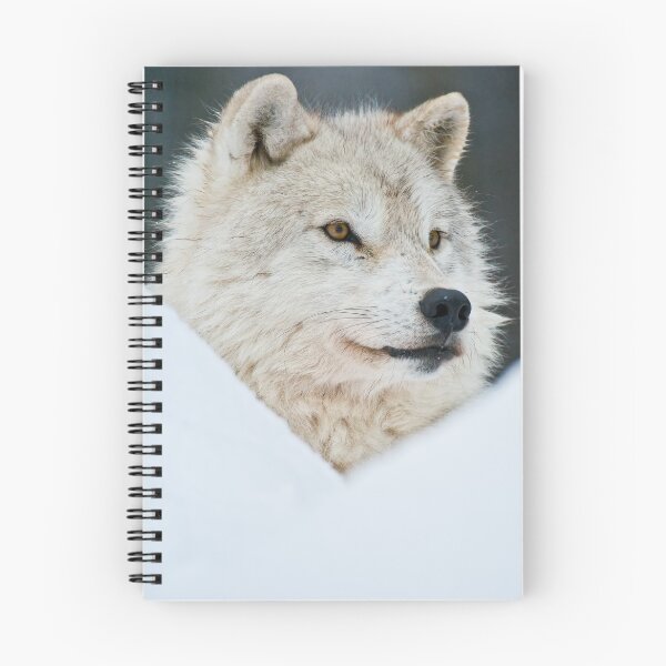 Item preview, Arctic Wolf designed and sold by WolvesOnly.