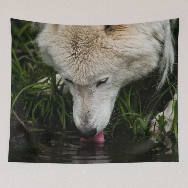 Item preview, Arctic Wolf designed and sold by WolvesOnly.