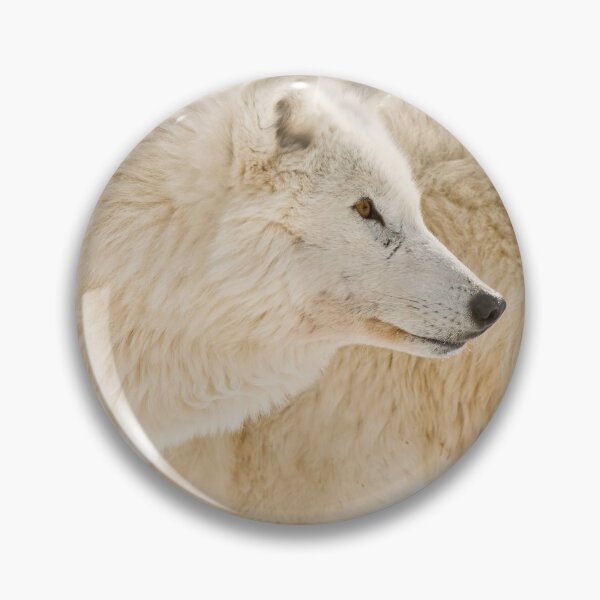 Item preview, Arctic Wolves designed and sold by WolvesOnly.