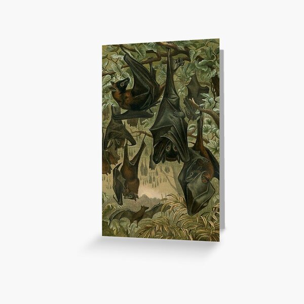 Colony of Bats Greeting Card