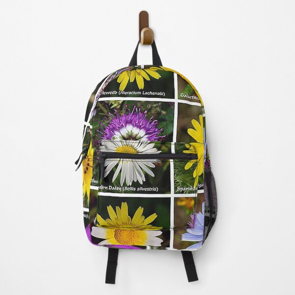 Item preview, Flower poster, daiseys, Marigold, storkweed, Hawkweed, blue gem,Bindweed, Galactites, Yellow flower, pink flower, purple flower, white flower, wild flowers, gardening designed and sold by Nostrathomas66.