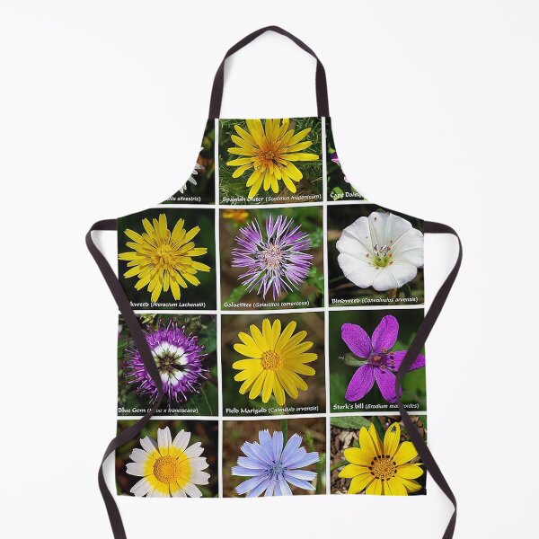 Item preview, Flower poster, daiseys, Marigold, storkweed, Hawkweed, blue gem,Bindweed, Galactites, Yellow flower, pink flower, purple flower, white flower, wild flowers, gardening designed and sold by Nostrathomas66.