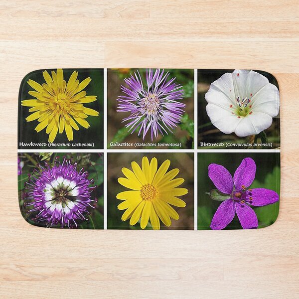 Item preview, Flower poster, daiseys, Marigold, storkweed, Hawkweed, blue gem,Bindweed, Galactites, Yellow flower, pink flower, purple flower, white flower, wild flowers, gardening designed and sold by Nostrathomas66.