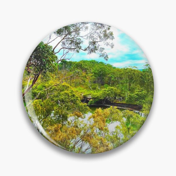 Item preview, Davidson Park, NSW Australia, Forestville, Australian landscape designed and sold by WanderTravels.