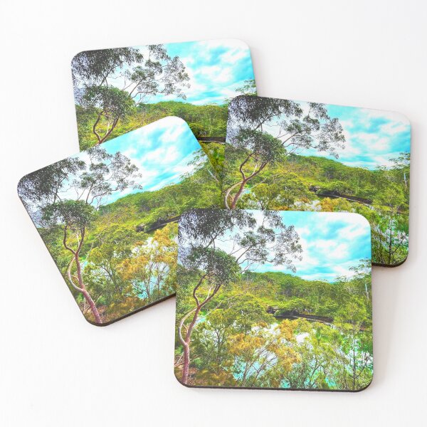Item preview, Davidson Park, NSW Australia, Forestville, Australian landscape designed and sold by WanderTravels.
