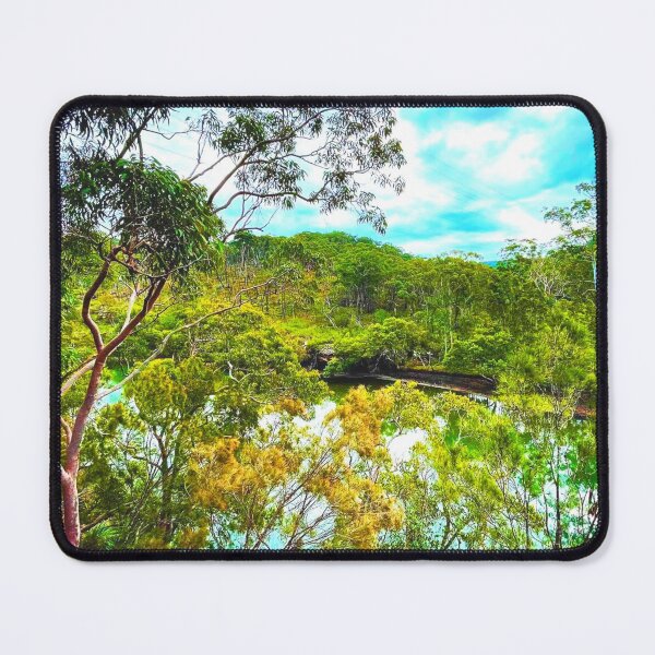 Item preview, Davidson Park, NSW Australia, Forestville, Australian landscape designed and sold by WanderTravels.