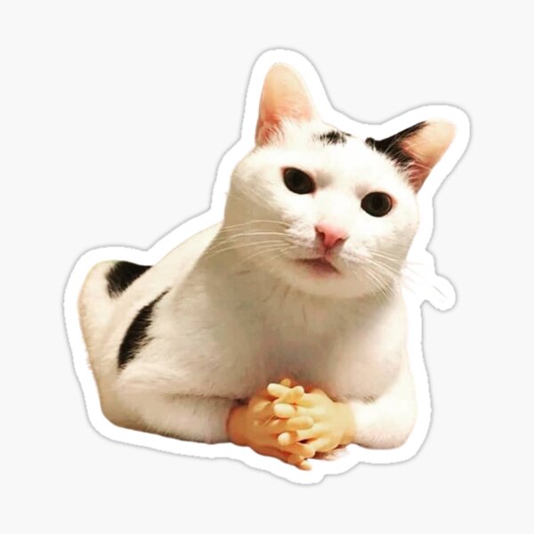 Item preview, cat meme AND! pspsps designed and sold by jassine11.