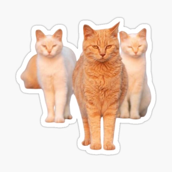 Item preview, cat meme GANGSTER pspsps designed and sold by jassine11.