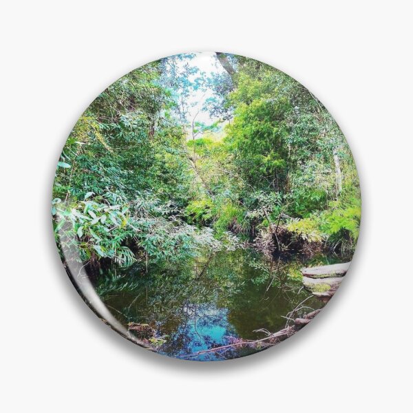Item preview, Davidson Park, Forestville, NSW Australia< Australian landscape designed and sold by WanderTravels.