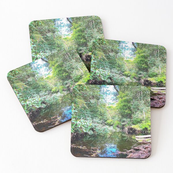 Item preview, Davidson Park, Forestville, NSW Australia< Australian landscape designed and sold by WanderTravels.