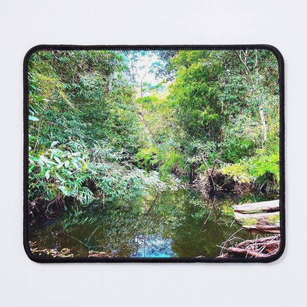 Item preview, Davidson Park, Forestville, NSW Australia< Australian landscape designed and sold by WanderTravels.