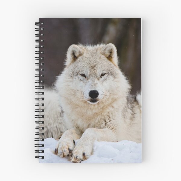 Item preview, Arctic Wolf designed and sold by WolvesOnly.