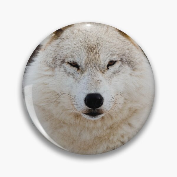Item preview, Arctic Wolf designed and sold by WolvesOnly.
