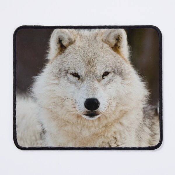 Item preview, Arctic Wolf designed and sold by WolvesOnly.