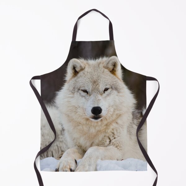 Artikelvorschau, Arctic Wolf entworfen und verkauft von WolvesOnly.