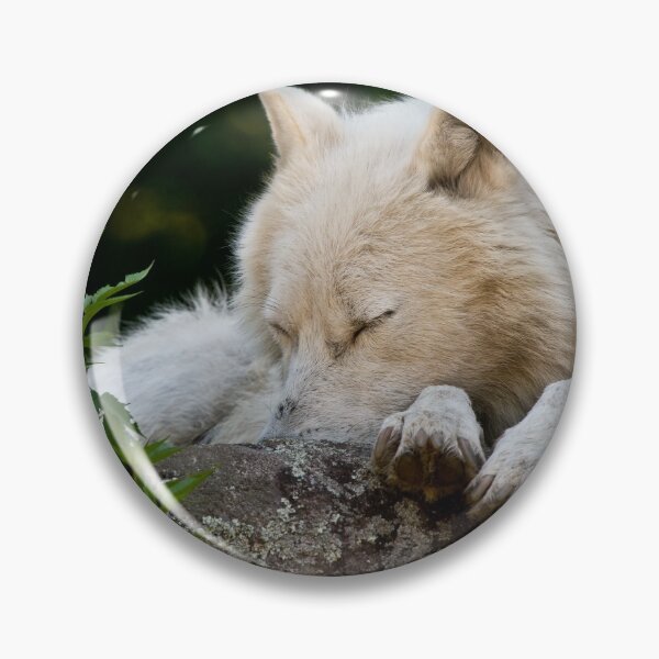 Artikelvorschau, Arctic Wolf entworfen und verkauft von WolvesOnly.