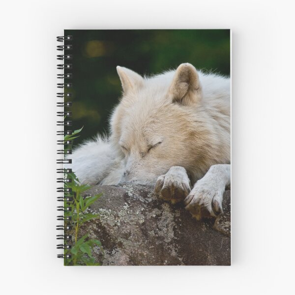 Item preview, Arctic Wolf designed and sold by WolvesOnly.
