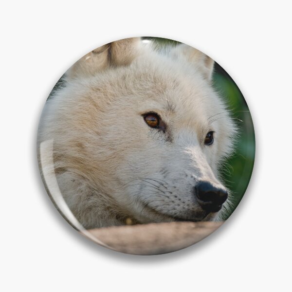 Artikelvorschau, Arctic Wolf entworfen und verkauft von WolvesOnly.