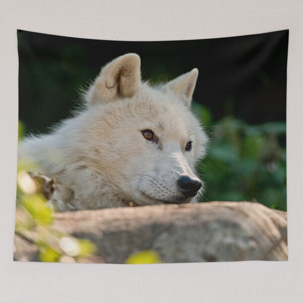 Item preview, Arctic Wolf designed and sold by WolvesOnly.