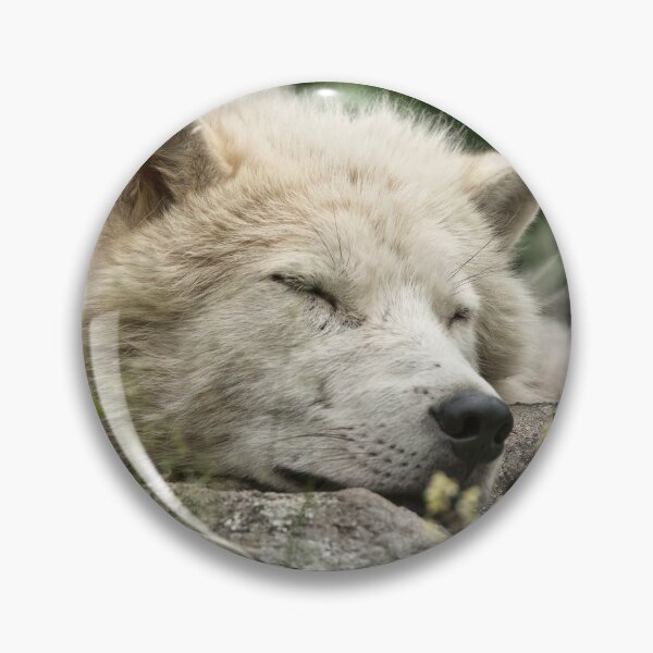 Item preview, Arctic Wolf designed and sold by WolvesOnly.
