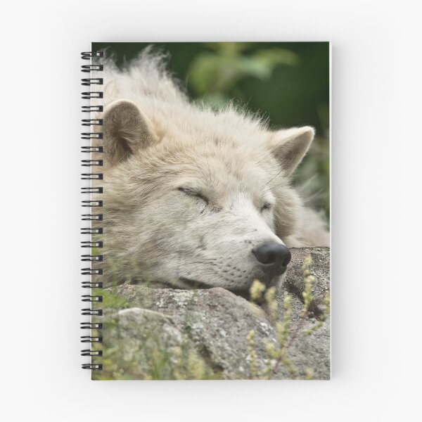 Item preview, Arctic Wolf designed and sold by WolvesOnly.