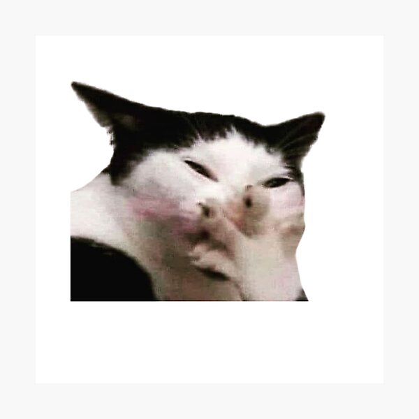 pp,504x498-pad,600x600,f8f8f8.jpg