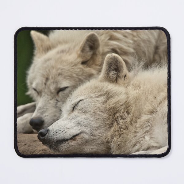 Item preview, Arctic Wolves designed and sold by WolvesOnly.