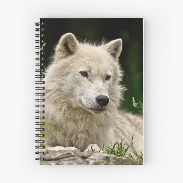 Item preview, Arctic Wolf designed and sold by WolvesOnly.