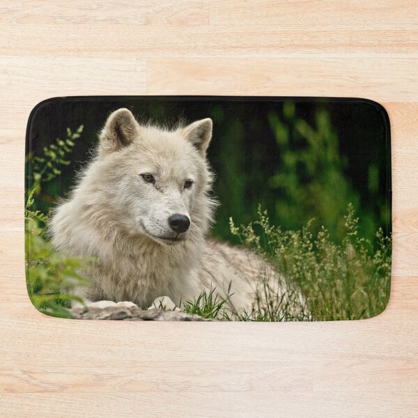 Artikelvorschau, Arctic Wolf entworfen und verkauft von WolvesOnly.