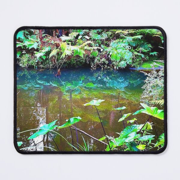 Item preview, Davidson Park, Australian landscape, NSW Australia, Forestville designed and sold by WanderTravels.