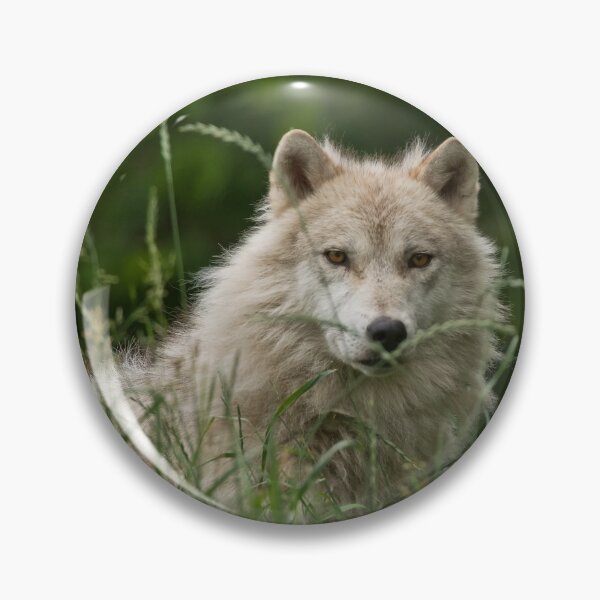 Item preview, Arctic Wolf designed and sold by WolvesOnly.