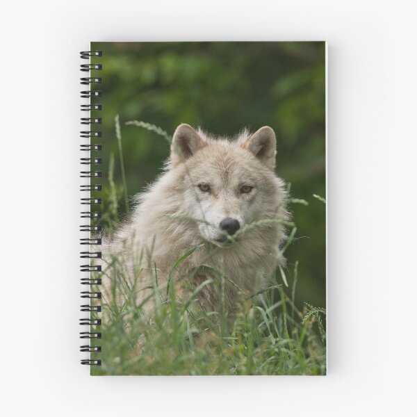Item preview, Arctic Wolf designed and sold by WolvesOnly.
