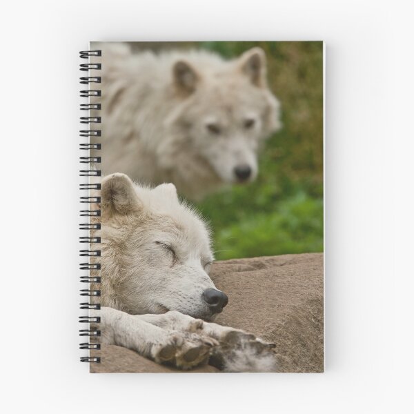 Item preview, Arctic Wolf designed and sold by WolvesOnly.