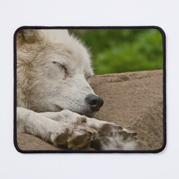 Item preview, Arctic Wolf designed and sold by WolvesOnly.