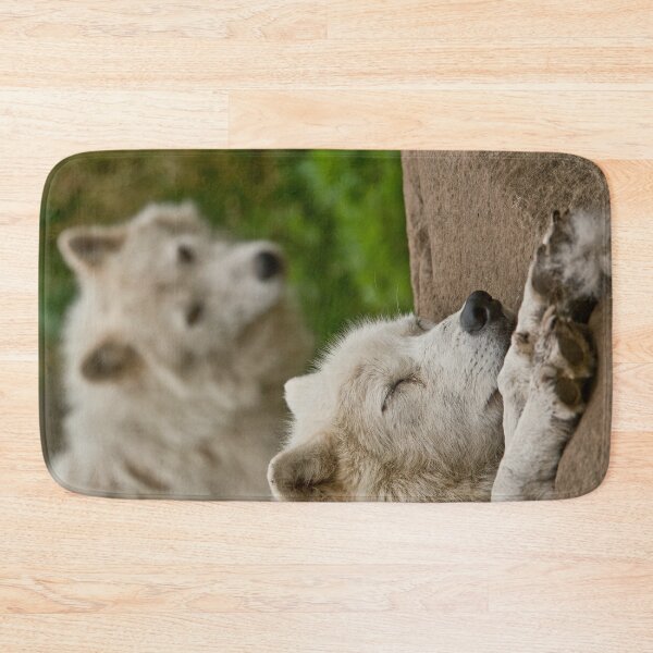 Artikelvorschau, Arctic Wolf entworfen und verkauft von WolvesOnly.