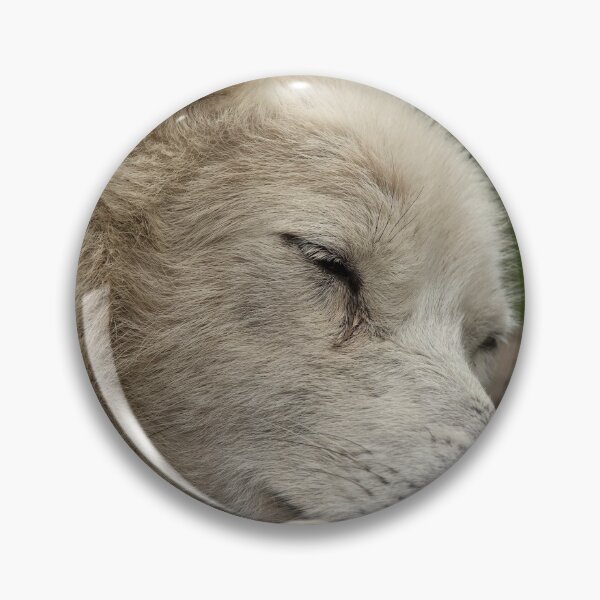 Artikelvorschau, Sleeping Arctic Wolf entworfen und verkauft von WolvesOnly.