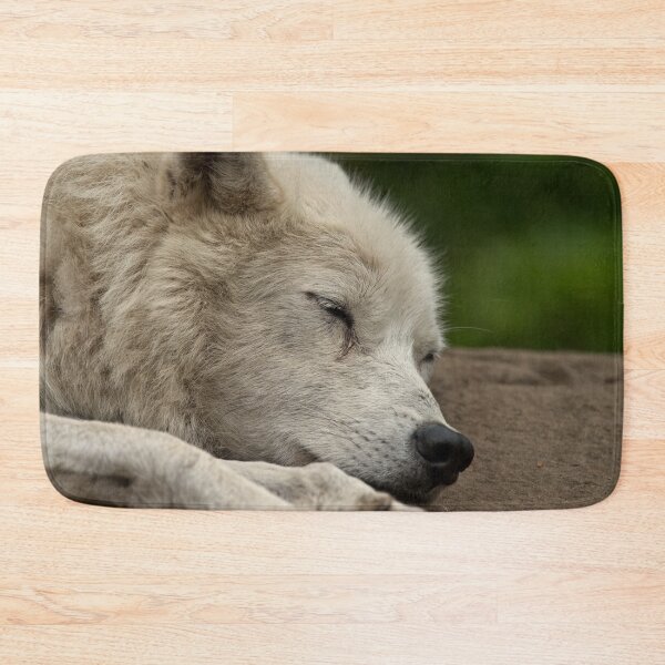 Aperçu de l'œuvre Sleeping Arctic Wolf créée et vendue par WolvesOnly.