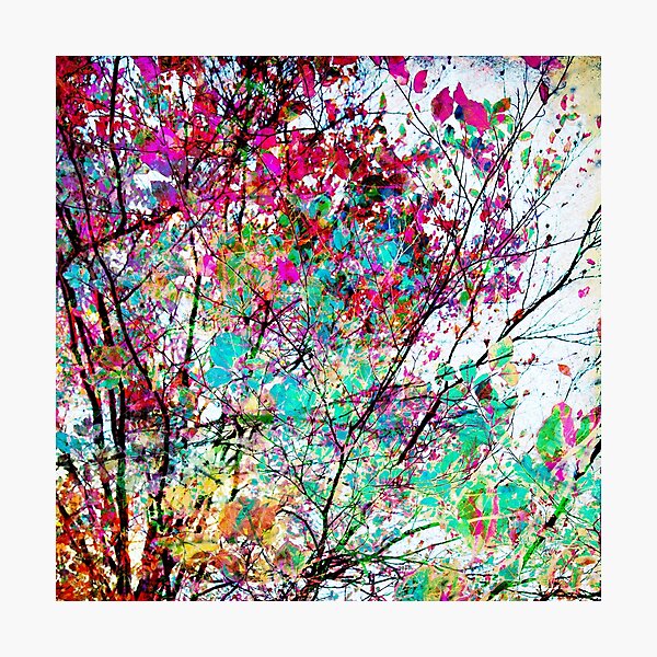 Autumn 8 Photographic Print