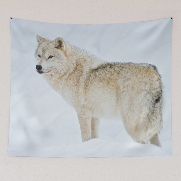 Item preview, Arctic Wolf designed and sold by WolvesOnly.