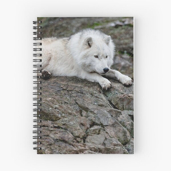 Item preview, Arctic Wolf designed and sold by WolvesOnly.