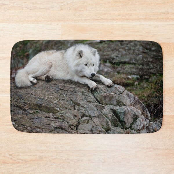 Artikelvorschau, Arctic Wolf entworfen und verkauft von WolvesOnly.