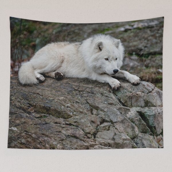 Item preview, Arctic Wolf designed and sold by WolvesOnly.