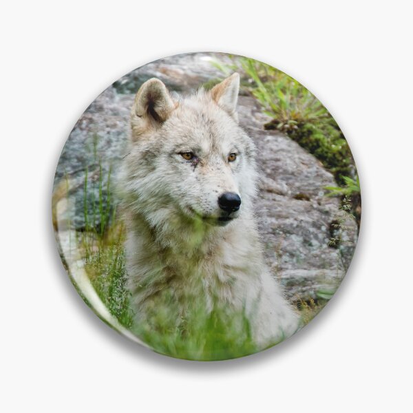 Artikelvorschau, Arctic Wolf entworfen und verkauft von WolvesOnly.