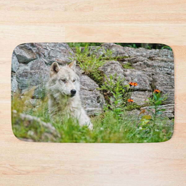 Item preview, Arctic Wolf designed and sold by WolvesOnly.